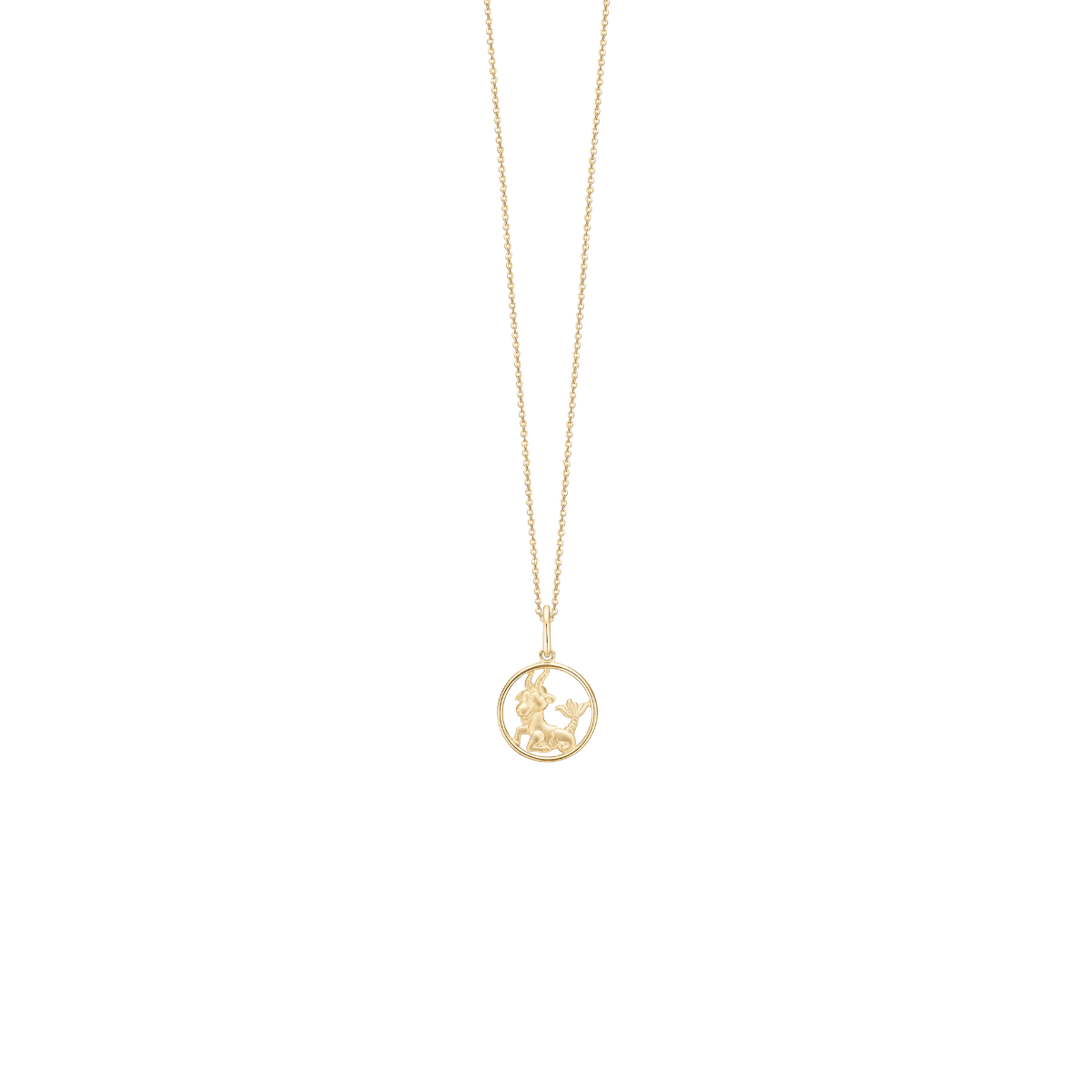 Halskæde, Stjernetegn, Stenbuk, forg - Urma.dk