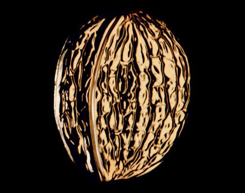 Lysholder 2004 - Valnød