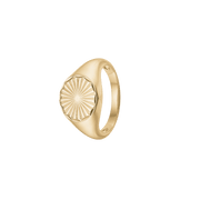 Magic Coin, ring, forg - Urma.dk