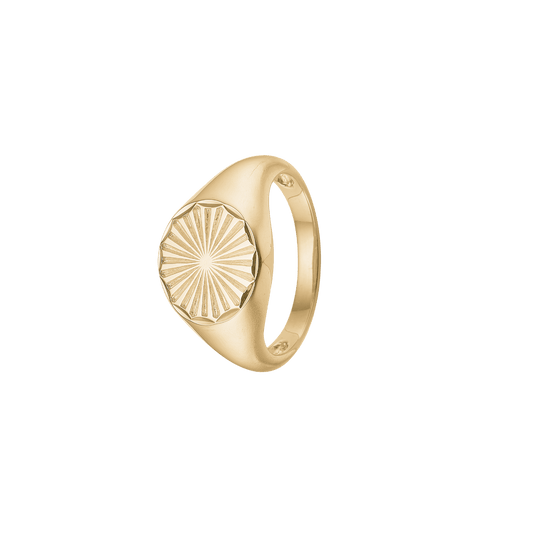 Magic Coin, ring, forg - Urma.dk