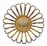 Marguerit broche 43 mm