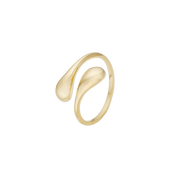 Ring, Løkke, forg sølv