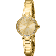 Roberto Cavalli Dame Rustfrit Stål Guldfarvet Champagne Ur RC5L144M0055 - Urma.dk