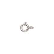 Sølv carabin